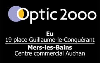 Logo Optic 2000